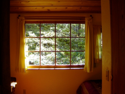 Juniper Bluffs cabin window